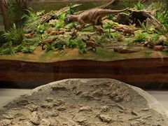 -辽宁古生物博物馆