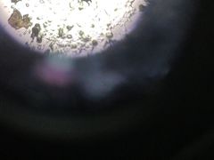 -瑞鹏宠物医院·夜间急症·心超·猫科(祖庙分店)