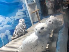 -成都浩海立方海洋公园