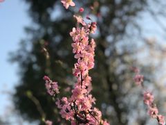 -香山公园-东宫门售票处