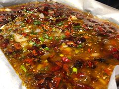 -情妹耙泥鳅·江湖川菜(科华店)
