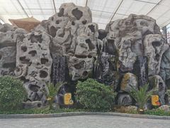 -北戴河集发农业梦想王国