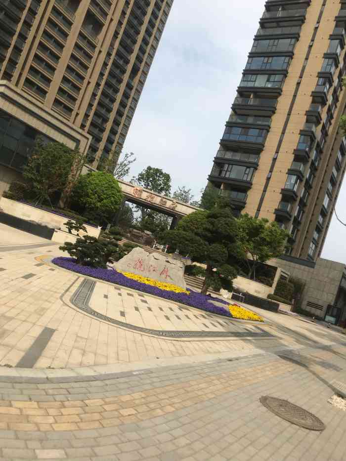 揽江府-"长江水位今年真的涨的很高,上周达到最高水."-大众点评移动版