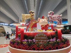 -陈添記·祖傳爽鱼皮·西关老字号(广州首店)