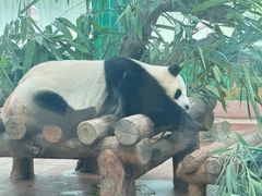 -广州动物园