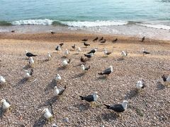 -海驴岛(荣成市)