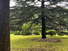 -上海财经大学(国定路校区)
