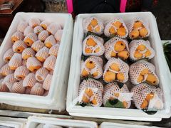 -红星农博物流中心