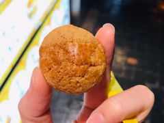 菠萝仔-洪九公(田子坊店)