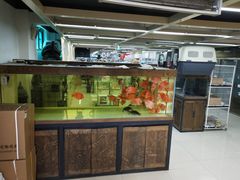 -米卢宠物公园(广华居店)