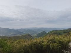 -莫干山风景区