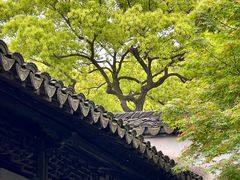 -惠山古镇·寄畅园