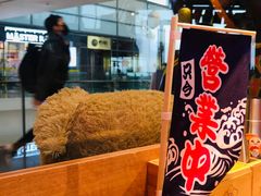 -桃花丼烧肉饭(凯丹商场店)