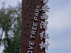 -宝安西湾红树林湿地公园