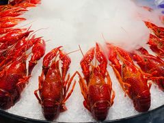 冰镇小龙虾-阿甘龙虾·重庆麻麻鱼(中豪店)