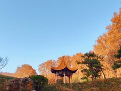-河南省黄河迎宾馆