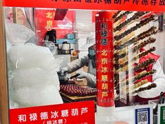-和禄德冰糖葫芦