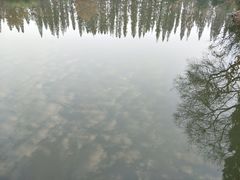 -桃花岛公园