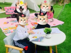 -海联小龙鱼幼儿园