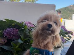 -休门咖啡(黄泥崖店)