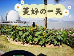 -野狸岛