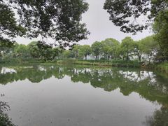 -金银湖国家城市湿地公园