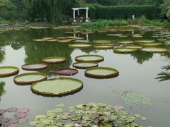 -国家植物园南园