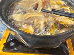 -马帮菜馆·美味野生菌