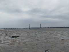 -北海金海湾红树林生态旅游区