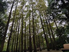 -中山公园