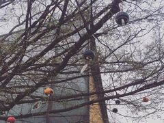 -田园东方蜜桃村的田野营地