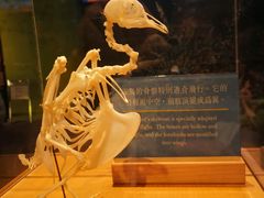 -香港科学馆