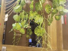 -云海肴·汽锅鸡·云南菜(天津国金汇店)