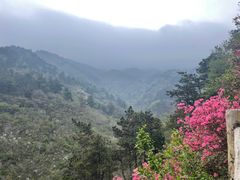 -木兰云雾山