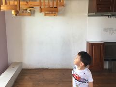 -金山农民画村-枫泾波兰倒置屋