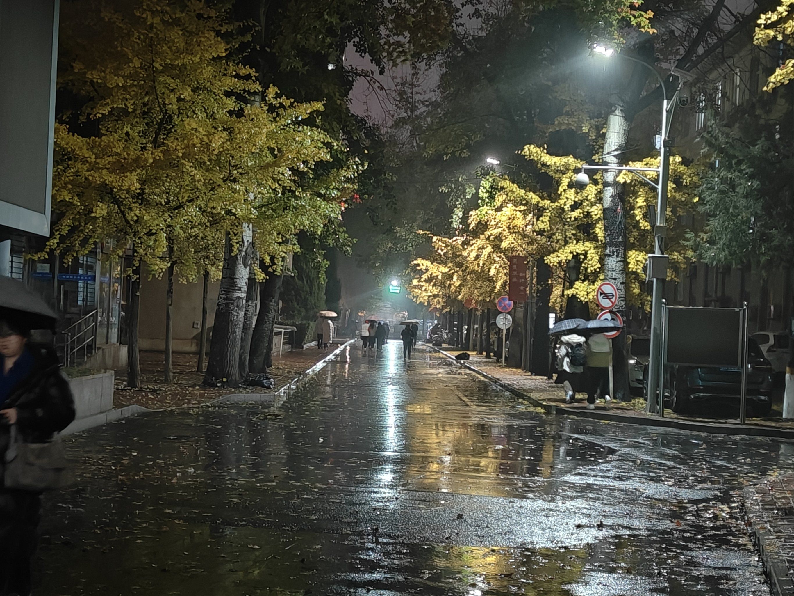 夜间细雨蒙蒙的民大也是别有韵味哦