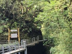 -龙苍沟森林公园