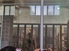 -保定市动物园