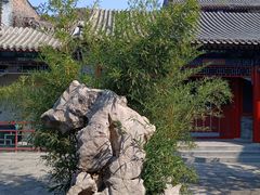 -莲池书院博物馆