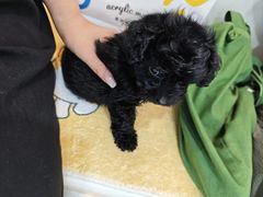 -贝康宠物医院·犬猫全科·小动物特色诊疗中心(东环路店)