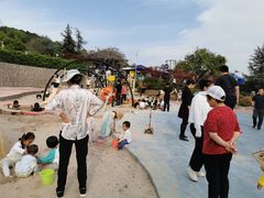 -铁山坪森林公园