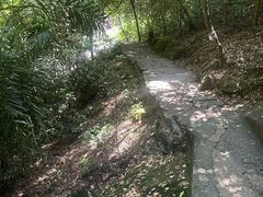 -武夷山风景名胜区-虎啸岩