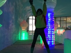 -世界之窗阿尔卑斯冰雪世界