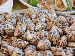 -桥东喜碧海鲜街(水东街店)