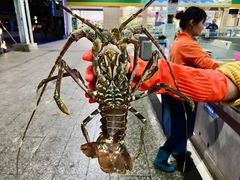 -四川小胡子海鲜(丁村万人海鲜广场店)