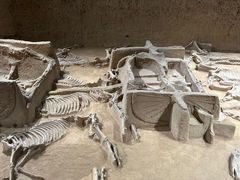 -洛阳周王城天子驾六博物馆