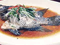 清蒸苏眉-都市阳光海鲜城(青山湖店)