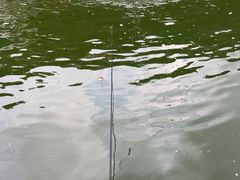 -DGE季风钓虾营地·团建·聚会