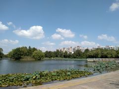 -新江湾城公园