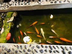 -丽江庭院之爱在路上(西单店)
